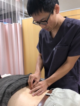 日本ほねつぎ鍼灸院 インナーヘルス®陰陽五行　鍼灸コースのメニュー画像